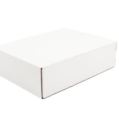 Arhīvu kārba 235x80x310mm