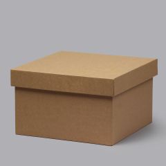Mikro gofrētā kartona kastītes 250x250x150mm ar vāku, brūnas, 14E