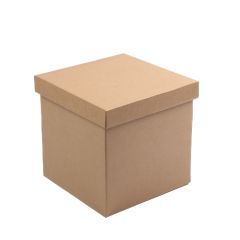 Kartona kastes 250 x 250 x 250mm ar vāku, brūnas